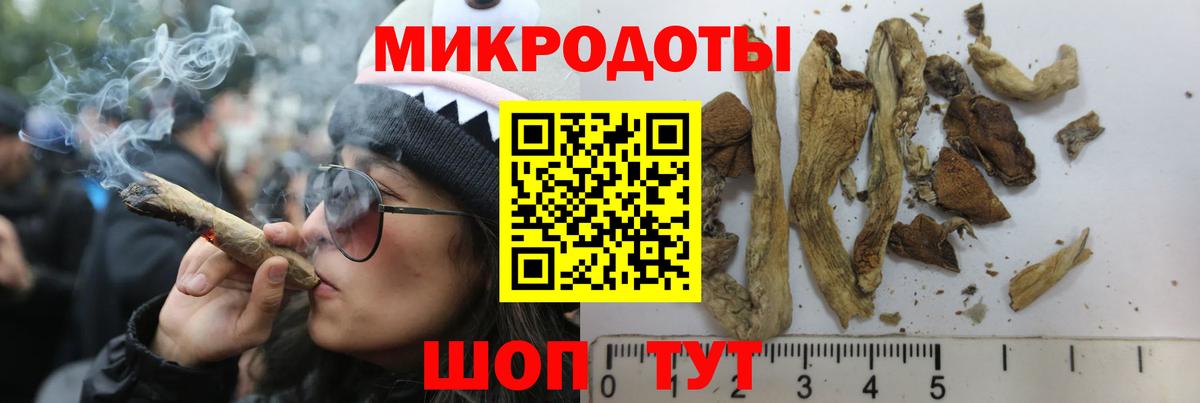 Псилоцибиновые грибы GOLDEN TEACHER  Вход с VPN  Сальск 